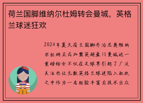 荷兰国脚维纳尔杜姆转会曼城，英格兰球迷狂欢